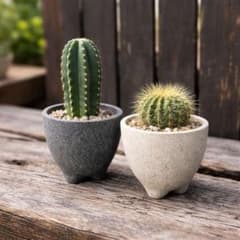 【専用】植物セットのサムネイル