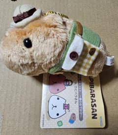 카피바라씨 오메카시 마스코트 봄의 외출 봉제인형