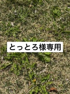 専用のサムネイル