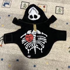春、秋の少し涼しい時に最適のサムネイル