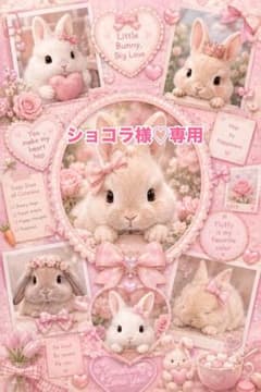 ショコラ様♡専用のサムネイル