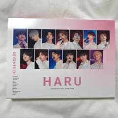 SEVENTEEN HARU Blu-rayのサムネイル