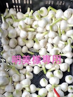 ニンニクのサムネイル