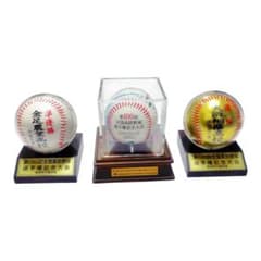 第100回全国高校野球選手権記念大会 記念ボールセット 大阪桐蔭 金足