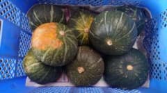 ラスト１完全無農薬 北海道産 新鮮かぼちゃ 味平 10kgのサムネイル