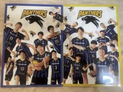 パナソニックパンサーズ（大阪ブルテオン）クリアファイルセット