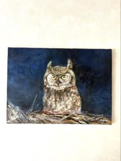 フクロウの油絵　333×242mm（F4） フクロウの油絵 333×242mm（F4） - メルカリ