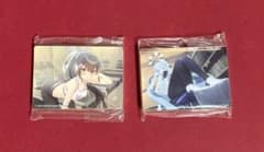 ブルーアーカイブ ブルアカ ミニノーブルアートコレクション ヒマリ スミレ