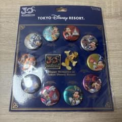 東京ディズニーリゾート 30周年 カンバッジセット ピンバッジ付き