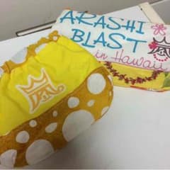 嵐 ハンドメイド ポーチのサムネイル