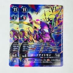 디지털 AD-01 R 로드 나이트 몬 병렬 2장