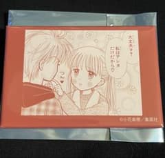 紗南ちゃん 羽山 こどものおもちゃ りぼん カフェ スクエア カンバッジ