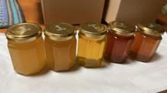 【のんのん専用】日本蜜蜂の蜂蜜アラカルト【アユヨ出禁】のサムネイル