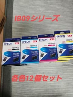 EPSON インクカートリッジ 【IB09シリーズ】各色12個 EPSON インクカートリッジ 【IB09シリーズ】各色12個 - メルカリ