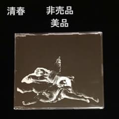 美品 清春 非売品 楽園 会場限定 配布 FC ONLY 黒夢 SADS サッズ