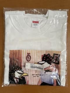 シュプリーム  アンタイヒーローTシャツ　supreme × ANTI HEROのサムネイル