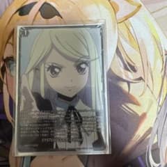 ヴァンガード SYSTEMCODE:X-ceed システムコードイクシード - メルカリ