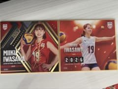 日本女子バレー ミニ色紙 2026 岩澤実育 - メルカリ