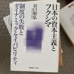 日本の資本主義とフクシマ 制度の失敗とダイナミック・ケイパビリティのサムネイル
