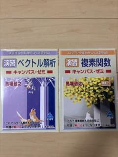 演習 ベクトル解析キャンパス・ゼミ馬場敬之 演習複素関数キャンパス・ゼミ馬場敬之のサムネイル