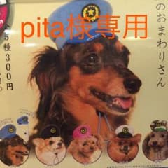pita様専用 犬のおまわりさん しろのサムネイル