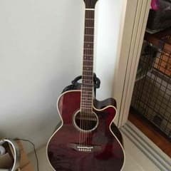 Takamine DMP551cのサムネイル