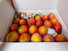 沖縄県産　3kg 4〜6玉（箱込）マンゴー　甘〜い　クール便込み　訳あり 沖縄県産 4〜6玉 2kg（箱込み）甘〜い マンゴー クール便発送込み価格