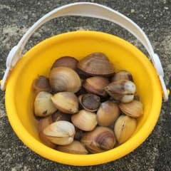 こくち2様 専用のサムネイル