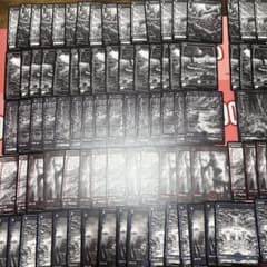 MTG 英語 EDH MH2版 フルアートレア土地5枚セット MTG 英語 EDH MH2版 フルアートレア土地5枚セット 【公式通販】