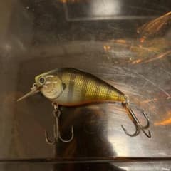 ラッキークラフト2個セットのサムネイル