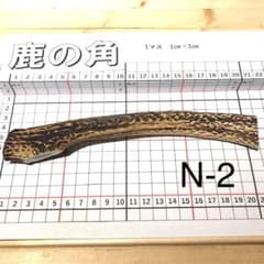 鹿の角 N-2 1本 兵庫県産 鹿角 鹿のツノ しかつの - メルカリ