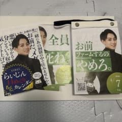 らいじん 日めくりちくちくカレンダー - メルカリ