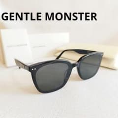 ジェントルモンスター サングラス HEIZER Col.01 ブラック ケース付
