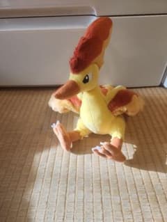 ポケモン ファイヤー ぬいぐるみのサムネイル