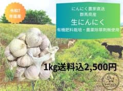 令和7年　群馬県産　とれたて生ニンニク 有機肥料栽培　農薬化学薬品無使用のサムネイル