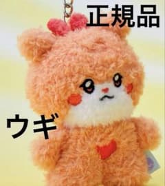 (G)I-DLE minini ぬいぐるみ クッション ウギ ウニニ 正規品 G)I-DLE minini ぬいぐるみ クッション ウギ ウニニ 正規品 i-dle