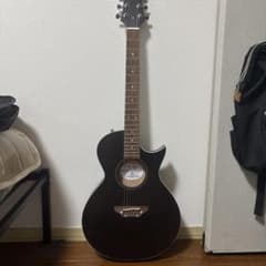 GrassRoots G-AC-50S レスポールシェイプ アコギ GrassRoots G-AC-50S レスポールシェイプ アコギ - メルカリ