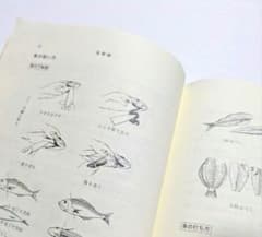 新調理実習　教科書 レトロ品のサムネイル