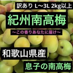 和歌山県産 紀州南高梅 訳あり L 〜3L 箱込み約2kg以上のサムネイル