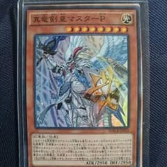 真竜剣皇マスターP おまけ付きのサムネイル