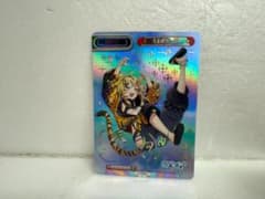 Re 버스 for you AG/001B-P012PP 우루 호랑이 - 무지개 호일