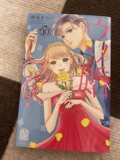 ウソ婚10巻のサムネイル