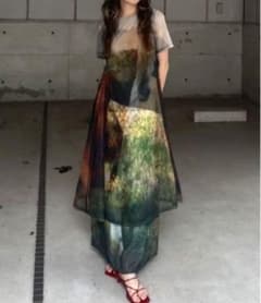 Silvia Conde Oliván×Ameri SHEER DRESS - メルカリ