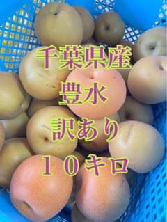 千葉県産 豊水 訳あり 10キロのサムネイル