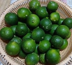 すだち 1.2キロ 広島県産 農家直送 家庭用 コンビニ払いNG.農薬不使用のサムネイル