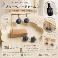 めじるしアクセサリー ハンドメイド ブルーベリー チャーム 2個セットのサムネイル