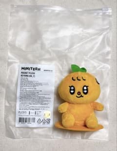 SEVENTEEN miniteen プギュリ スングァン マグネットキーリング - メルカリ
