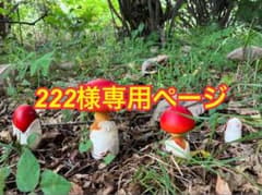 222様専用ページのサムネイル