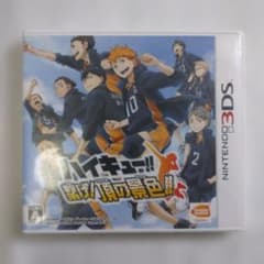 3DS 소프트 하이큐 연결 정상의 경치 동작 확인 완료