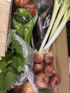 野菜詰め合わせ80サイズ - 3